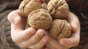 alimentación de los niños